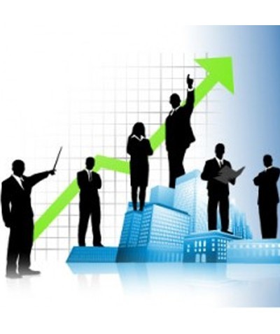 FRANCHISING CRESCE 16,2% EM 2012